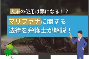 大麻の使用は罪になる！？マリファナに関する法律を弁護士が解説！